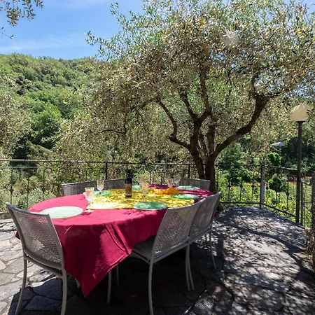 Casa Luci Con Piscina Privata Tra Mare E Ulivi Lägenhet *